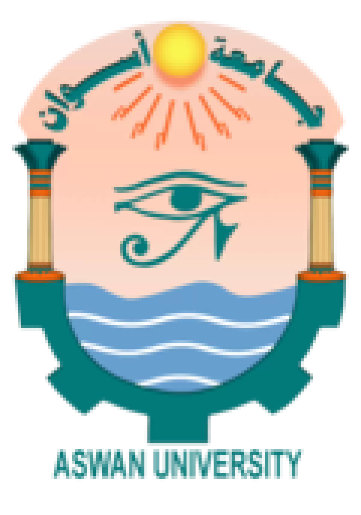 جامعه اسوان