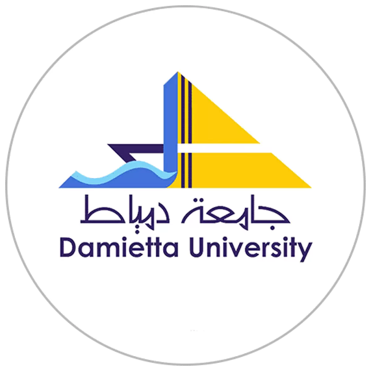 جامعه دمياط