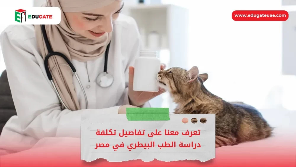 Blog Featured Image