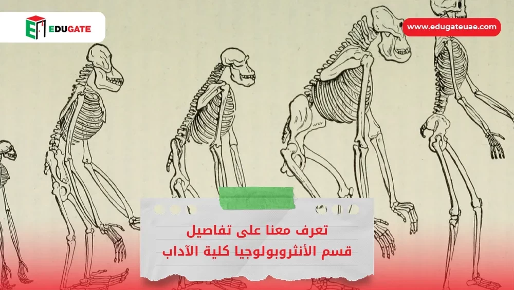 Blog Featured Image